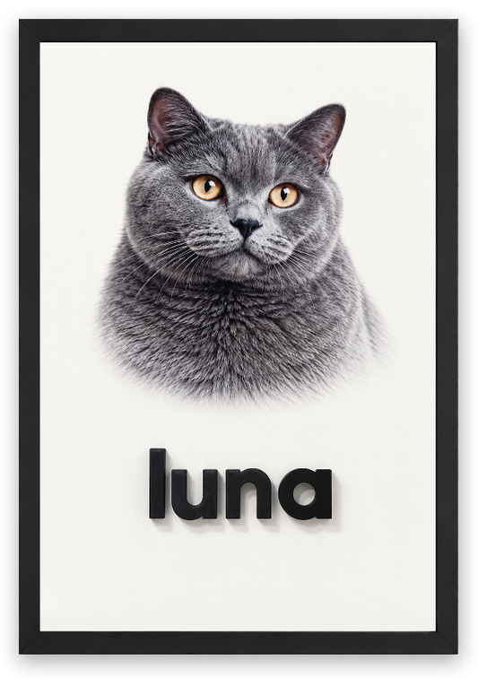 3D Pet Lab — Urbanist luna, 1 cm siyah kabartma harfler, Siyah çerçeve