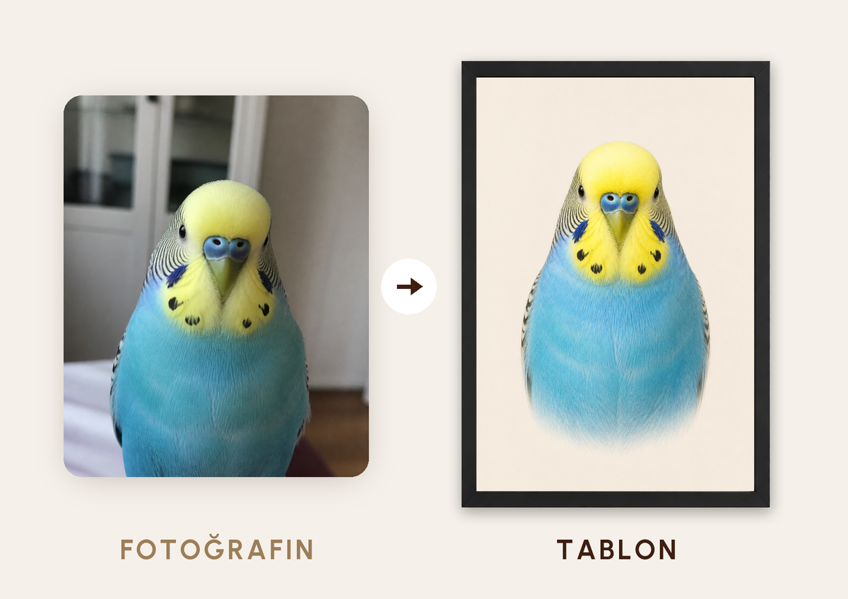 3D Pet Lab Portresi — fotoğraftan tabloya örnek: Charlie — TabloLab
