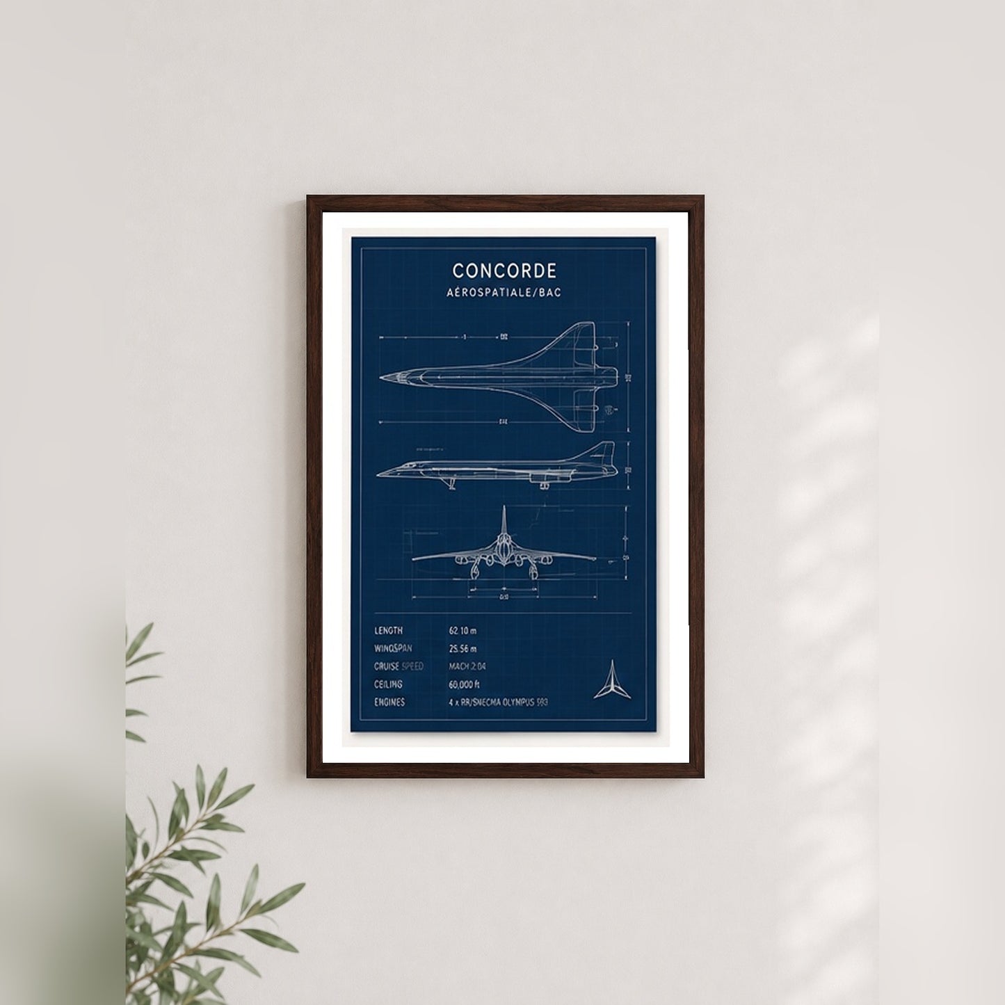 Concorde Teknik Çizimi – Teknik Çerçeveli Poster — Ceviz — Paspartulu — TabloLab
