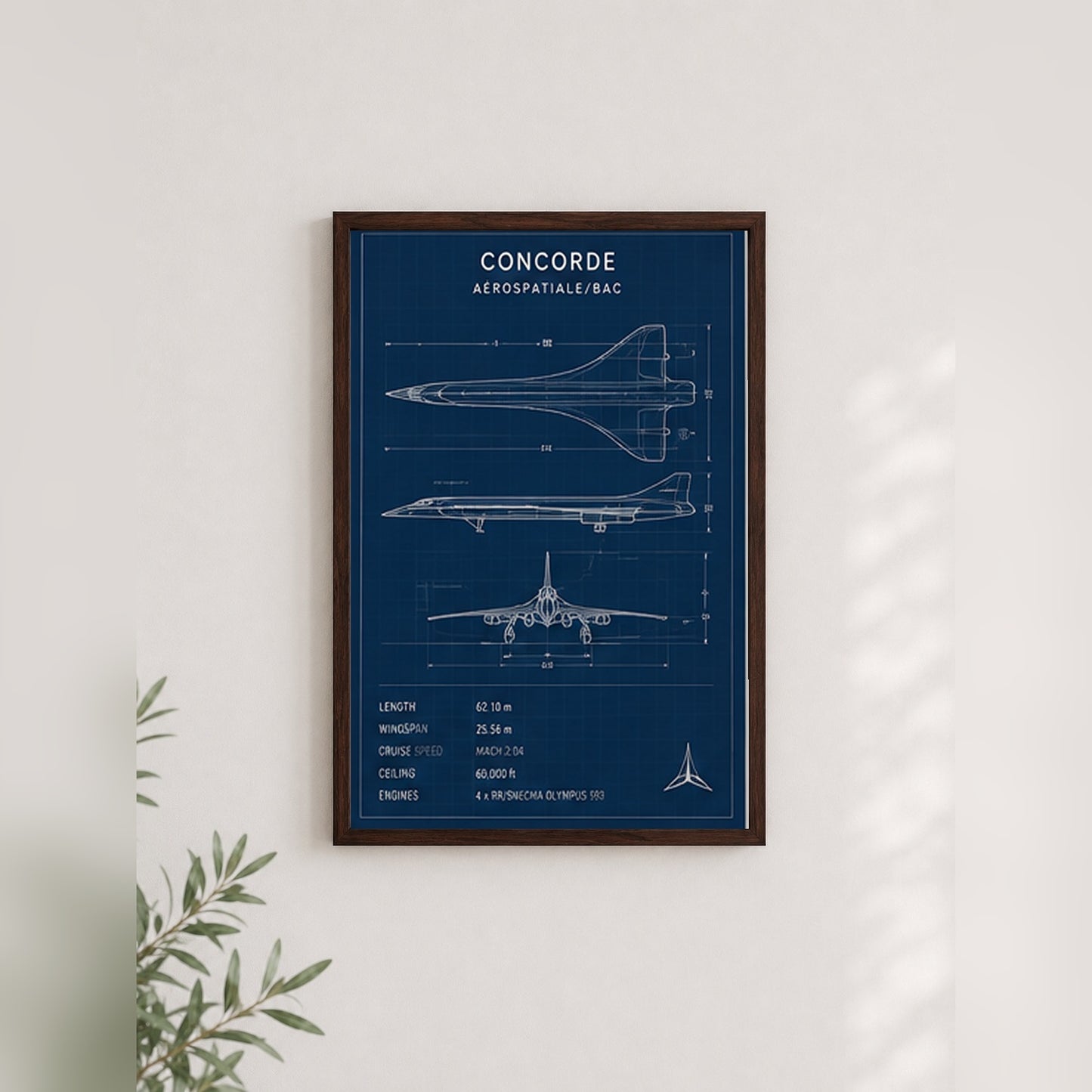 Concorde Teknik Çizimi – Teknik Çerçeveli Poster — Ceviz — Paspartusuz — TabloLab