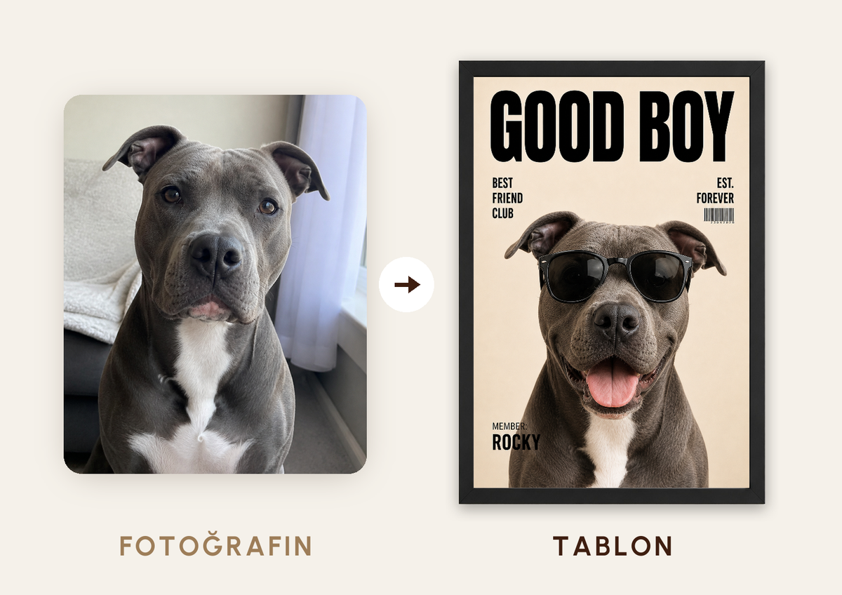 Good Boy Best Friend Poster — fotoğraftan tabloya örnek: ROCKY — TabloLab
