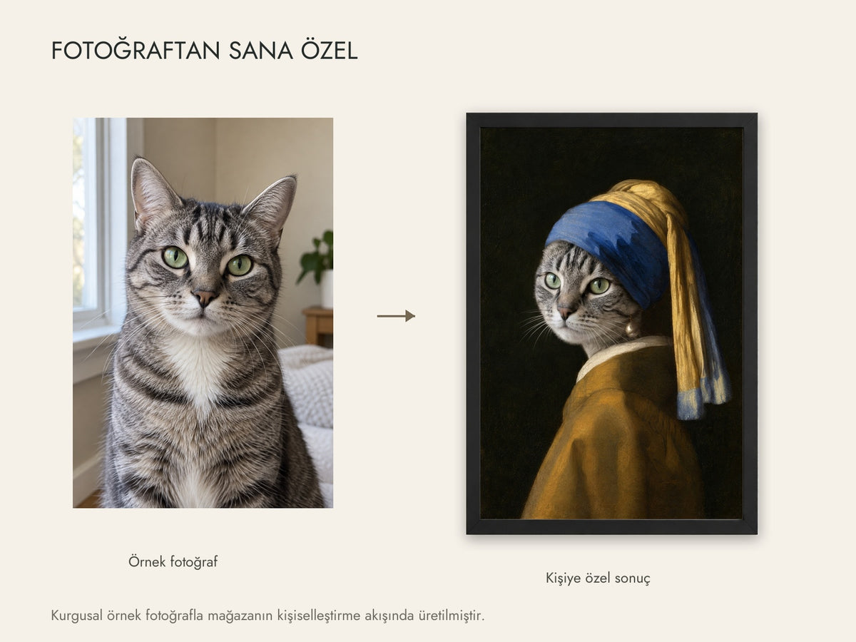 Kurgusal kedi fotoğrafı ve aynı fotoğrafın canlı İnci Küpeli Portre kişiselleştirme sonucu