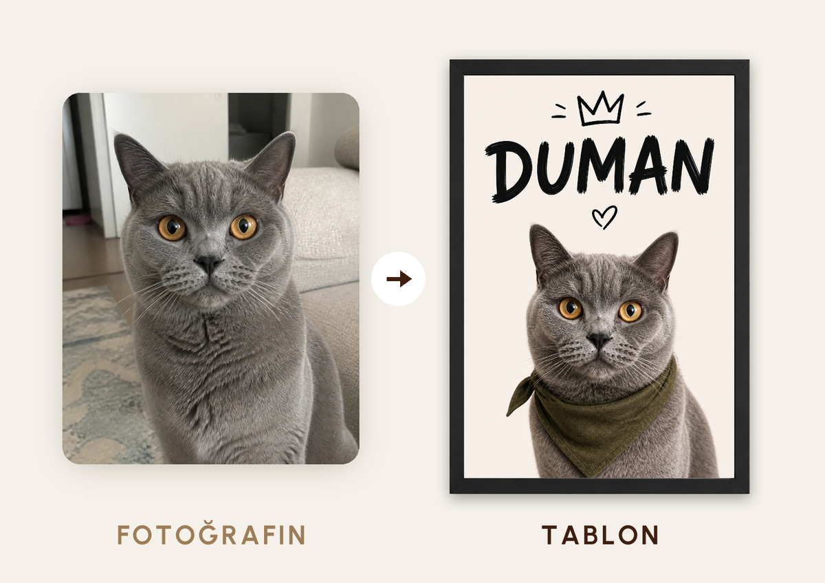 Kişiselleştirilebilir Evcil Hayvan Tacı Tablosu — fotoğraftan tabloya örnek: DUMAN — TabloLab