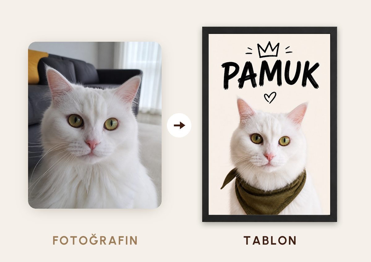 Kişiselleştirilebilir Evcil Hayvan Tacı Tablosu — fotoğraftan tabloya örnek: PAMUK — TabloLab