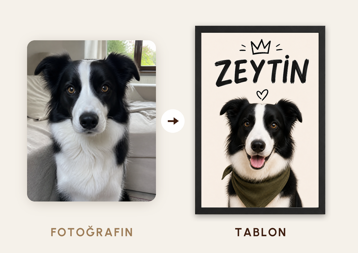 Kişiselleştirilebilir Evcil Hayvan Tacı Tablosu — fotoğraftan tabloya örnek: ZEYTİN — TabloLab
