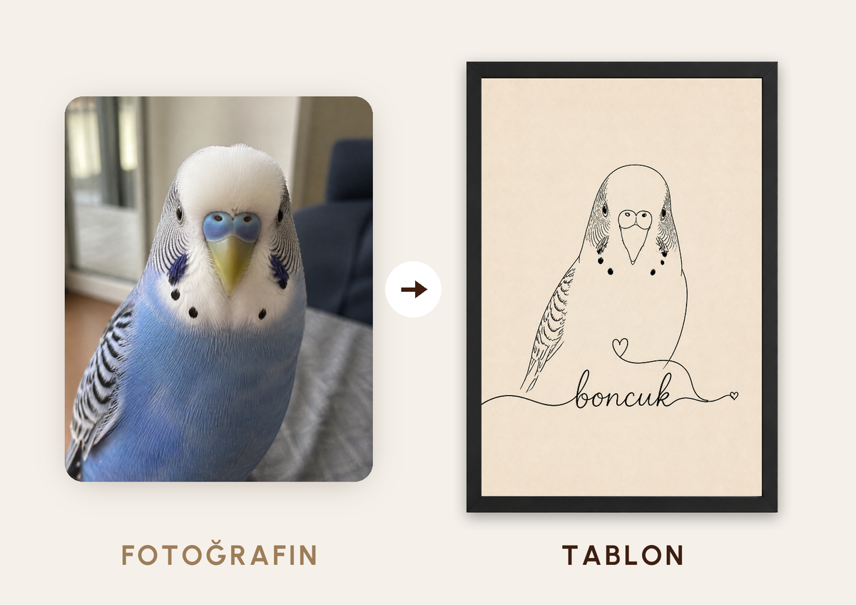 Kişiselleştirilebilir Pet Çizgi Tablosu — fotoğraftan tabloya örnek: boncuk — TabloLab