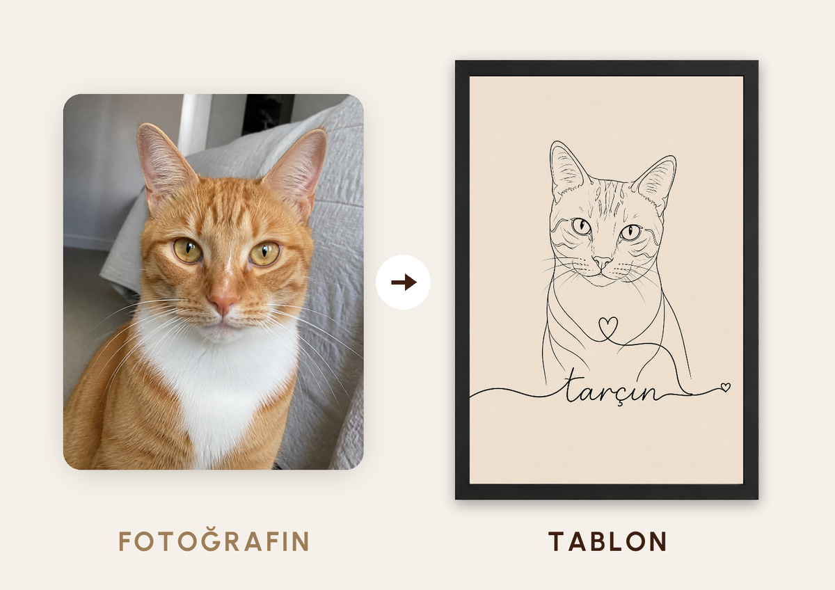 Kişiselleştirilebilir Pet Çizgi Tablosu — fotoğraftan tabloya örnek: tarçın — TabloLab