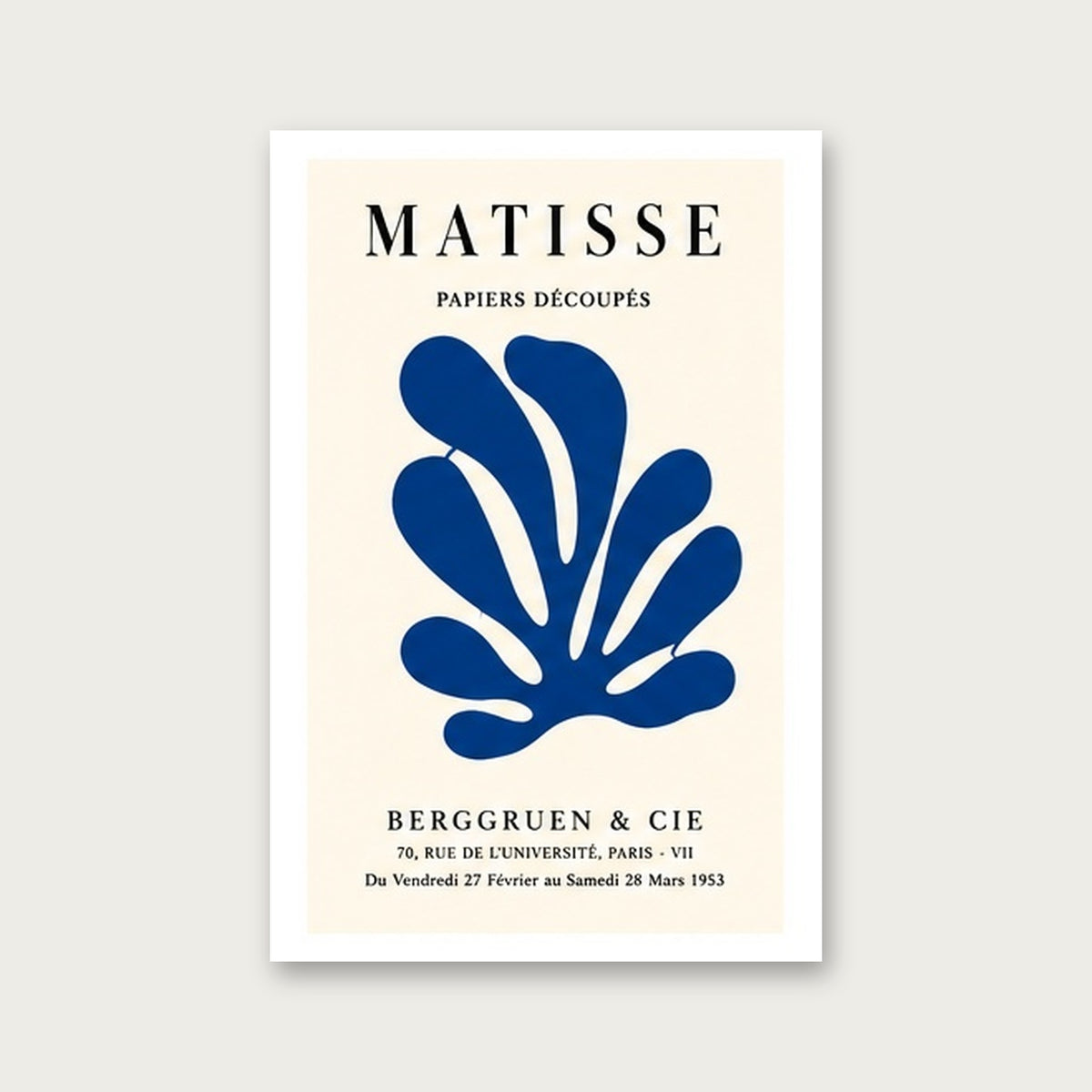 Matisse Kaplumbağa – Modern Çerçeveli Poster — Çerçevesiz — Beyaz Kenarlı — TabloLab