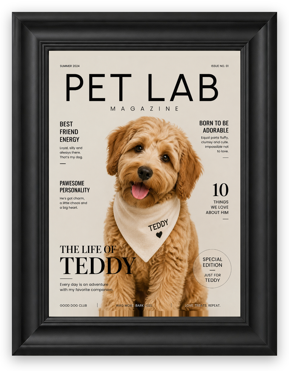 Özel Pet Dergi Kapağı — Galeri Çerçeve — TabloLab