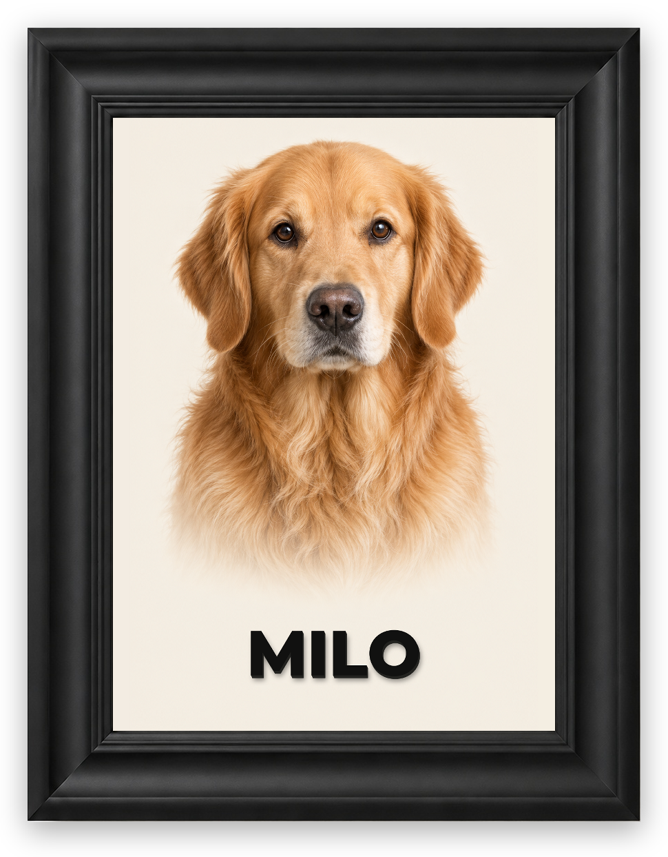 3D Pet Lab — gerçek Galeri çerçeve, MILO isim örneği