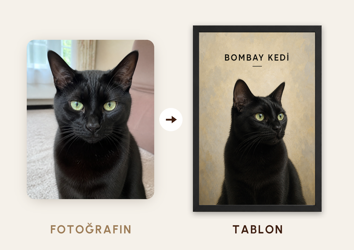Soft Portrait Pet Tablosu — fotoğraftan tabloya örnek: BOMBAY KEDİ — TabloLab