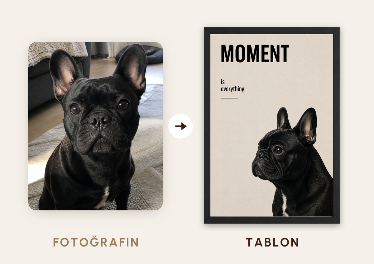 The Moment – Kişiselleştirilebilir Pet Tablosu — fotoğraftan tabloya örnek: BONCUK — TabloLab