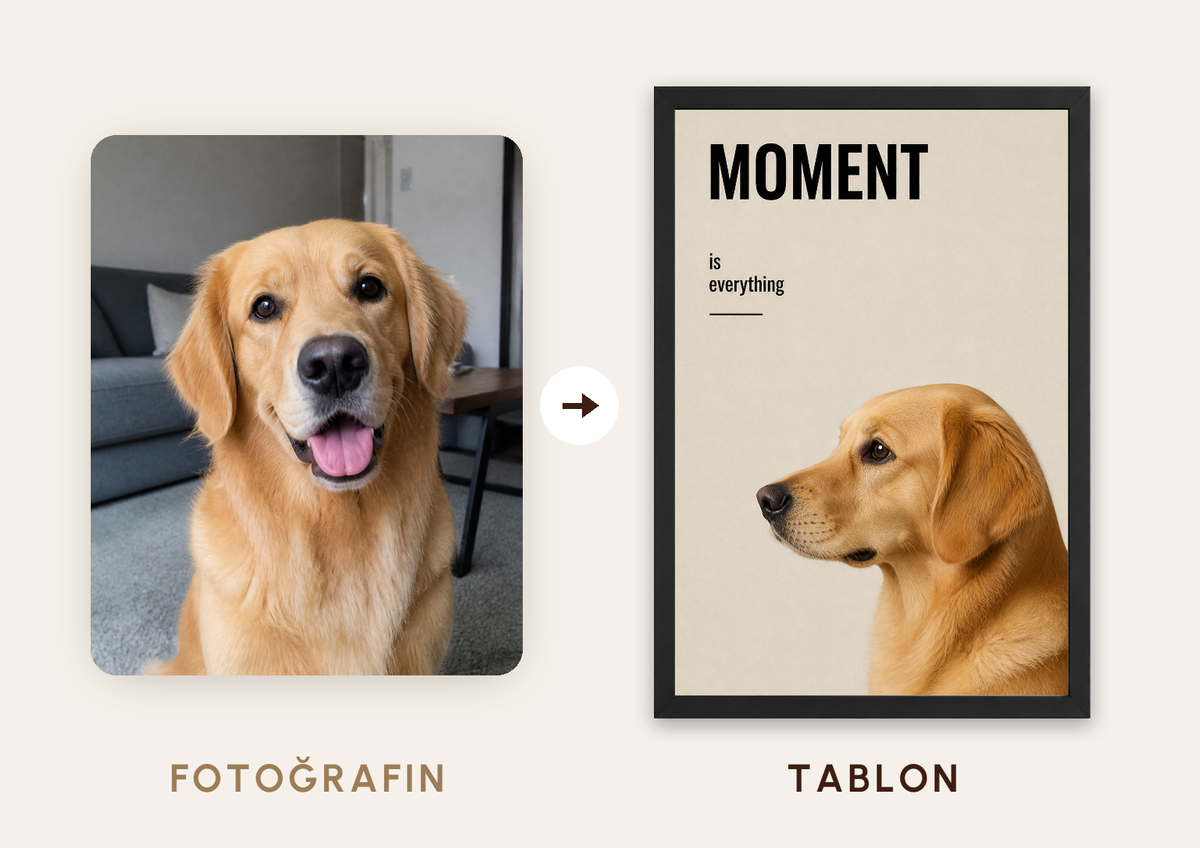 The Moment – Kişiselleştirilebilir Pet Tablosu — fotoğraftan tabloya örnek: GOLDEN — TabloLab