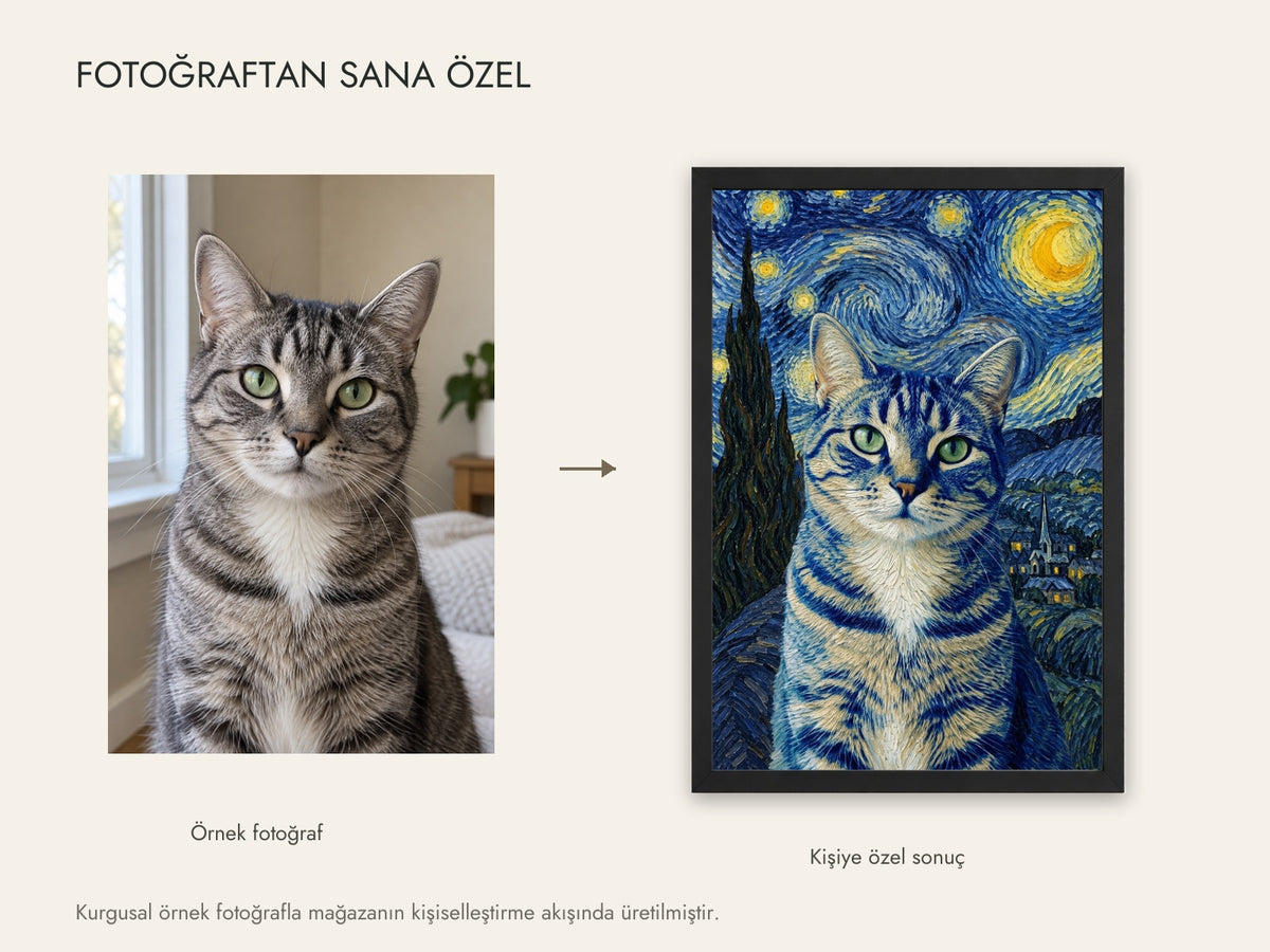 Kurgusal kedi fotoğrafı ve aynı fotoğrafın canlı Yıldızlı Gece Portresi kişiselleştirme sonucu